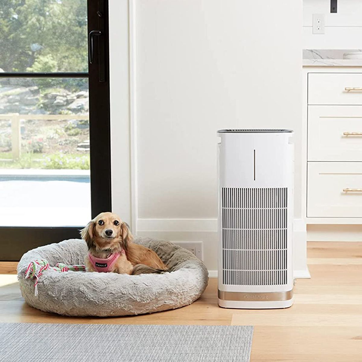  Cuisinart PuRXium Free Standing Air Purifier | Large Room