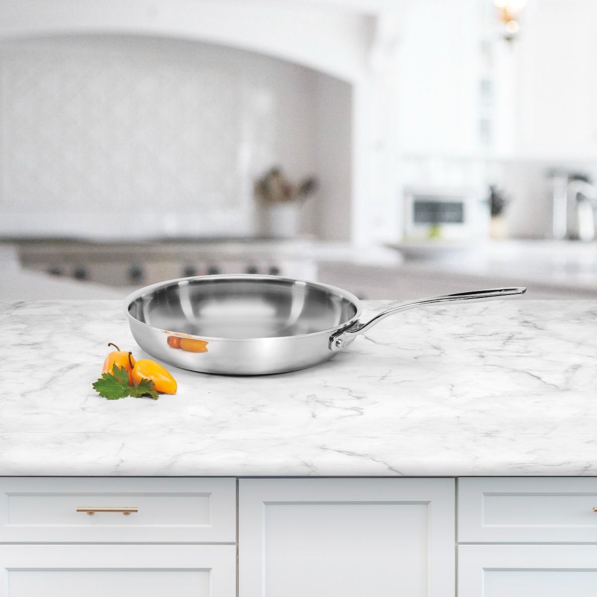  Cuisinart Custom-Clad 5-Ply Stainless Steel Fry Pan | 10"