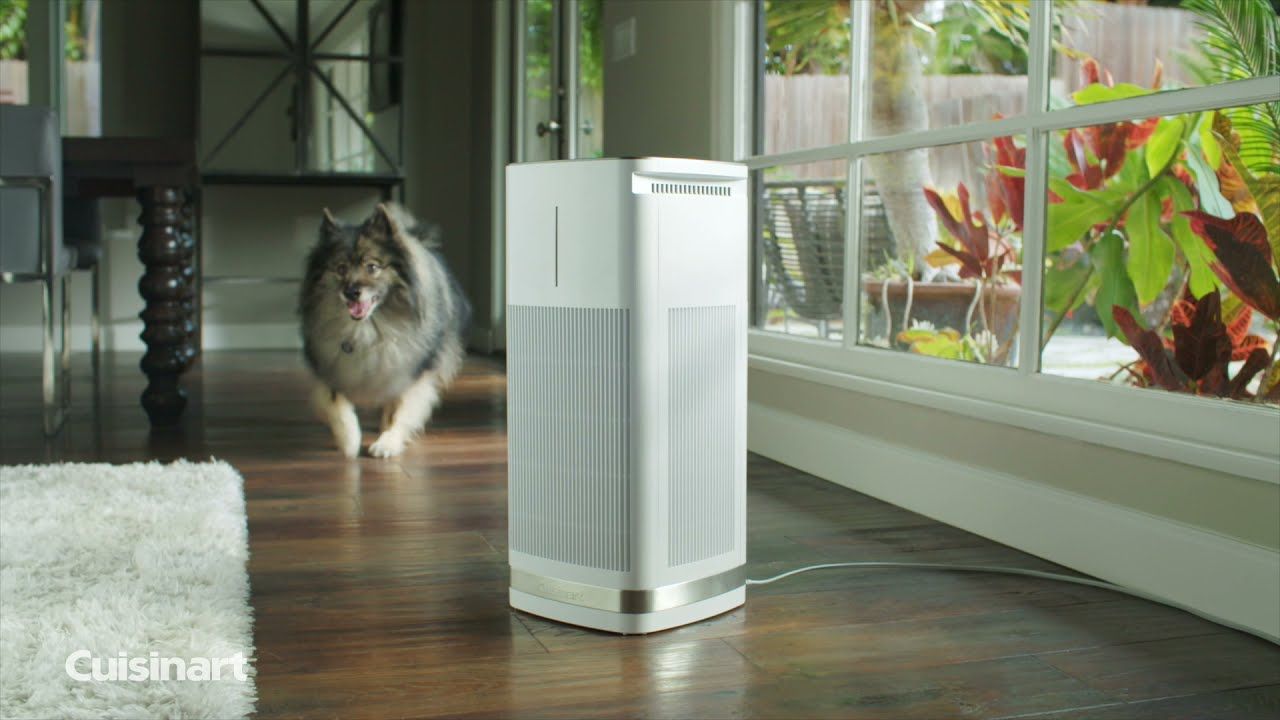  Cuisinart PuRXium Free Standing Air Purifier | Large Room